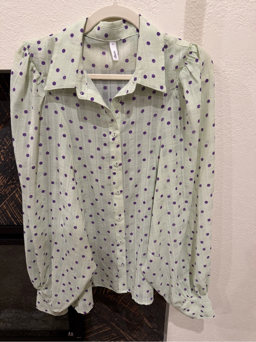 glam Light Green Blouse with Purple Polka Dots